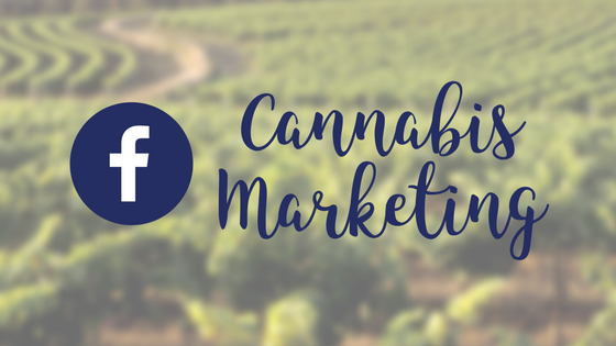 Why is Guidance So Vague for Cannabis Marketing on Facebook?